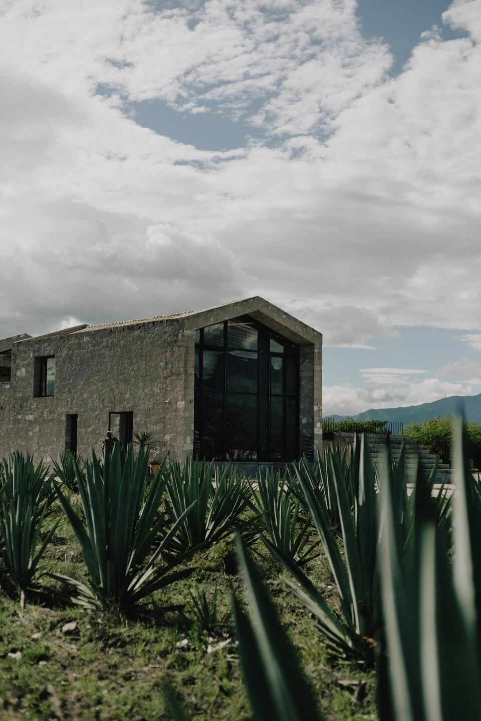 Stone hall at Rancho Cebú framed by rows of agave
